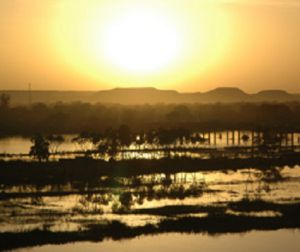 Vue du fleuve Niger